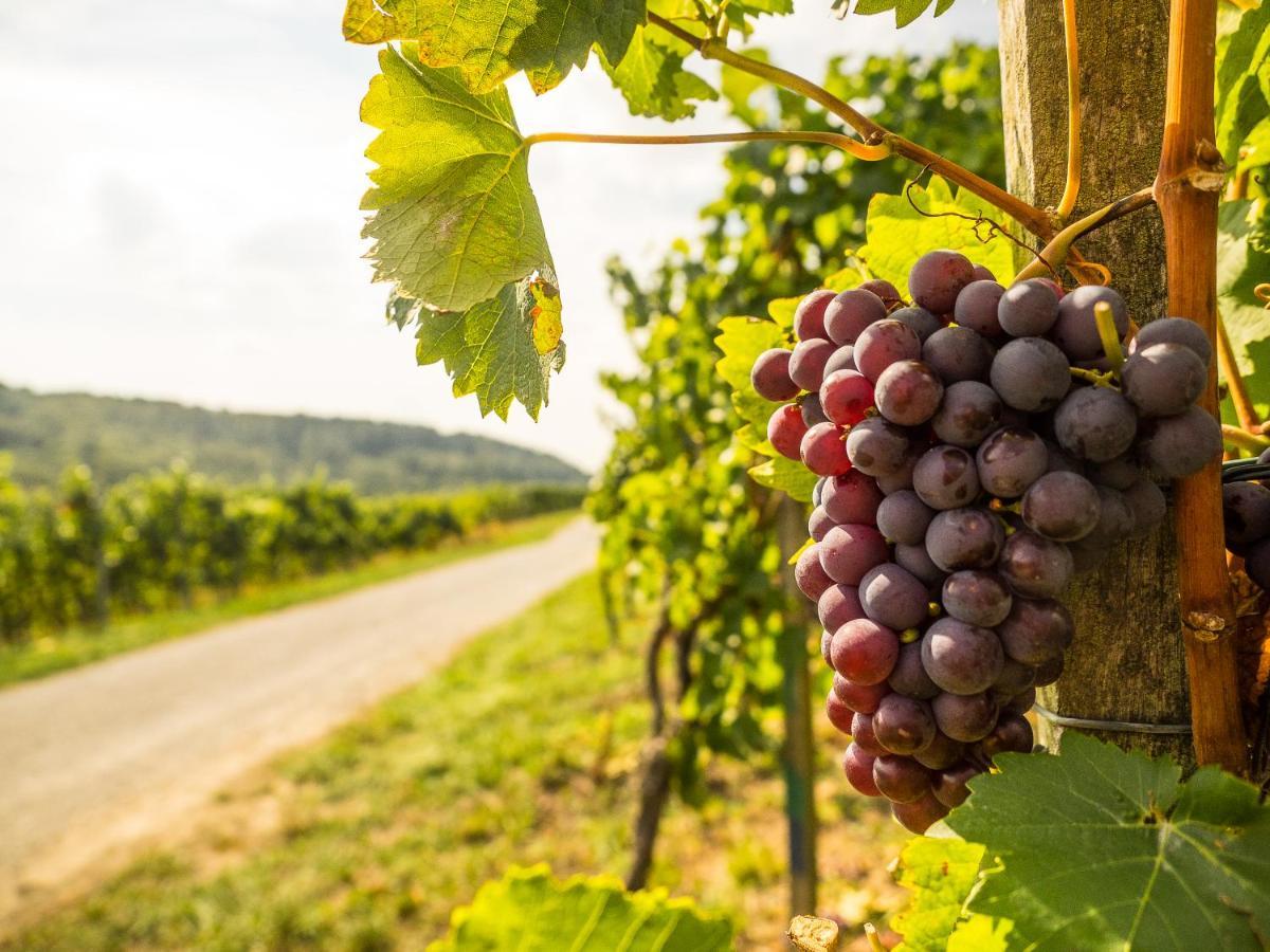 Vinotel Heinz J. Schwab Bretzfeld Zewnętrze zdjęcie