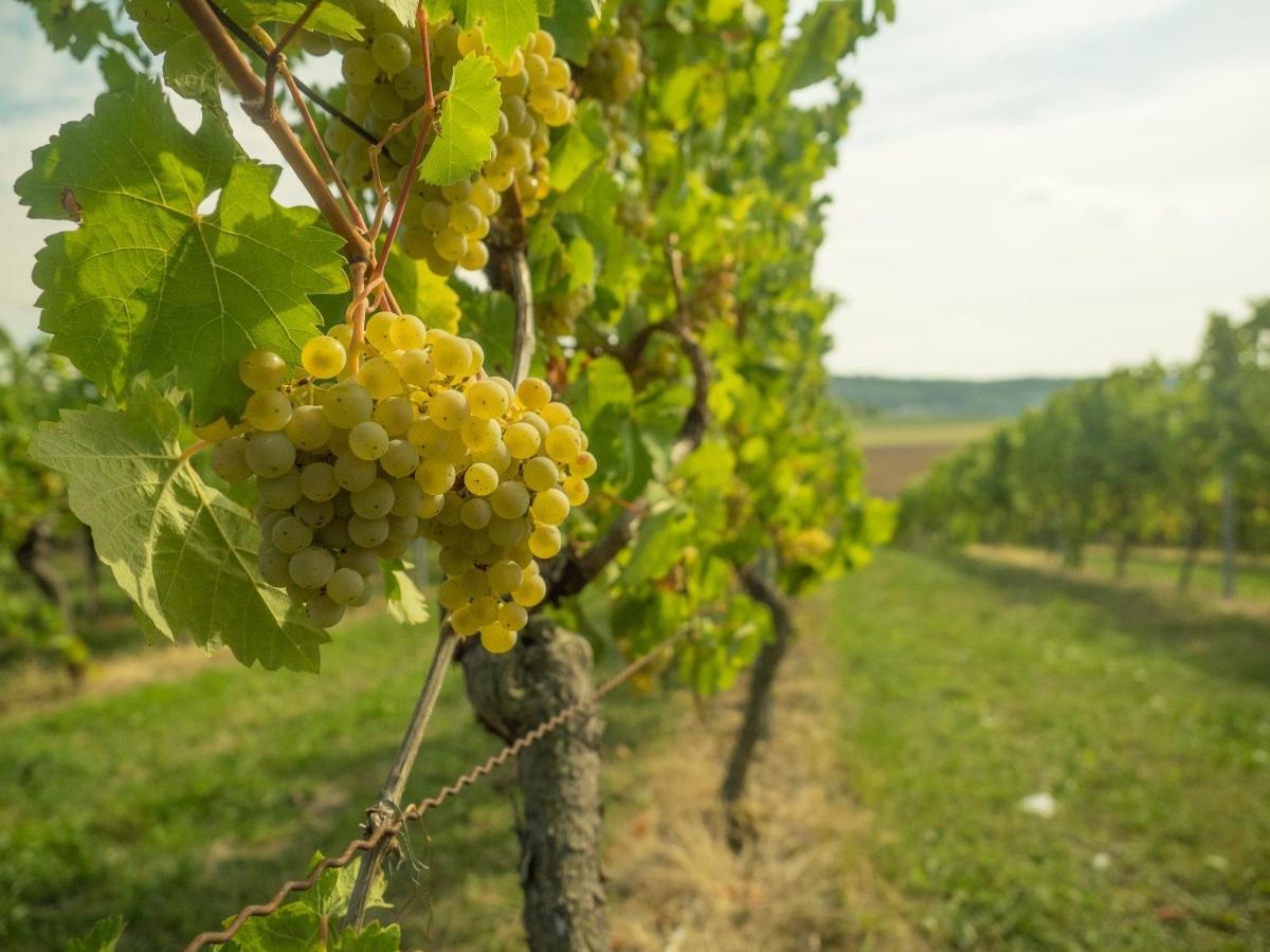 Vinotel Heinz J. Schwab Bretzfeld Zewnętrze zdjęcie